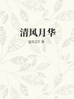 清风月华一般比喻什么