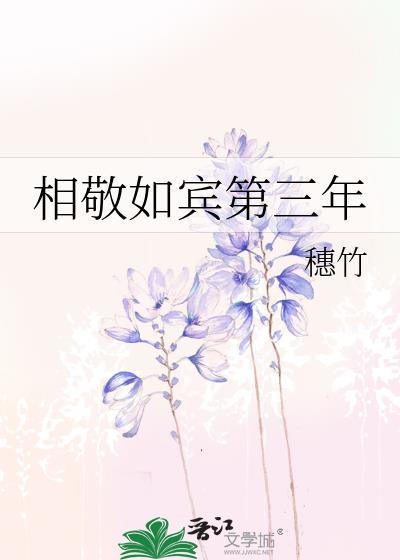 相敬如宾第三年txt番外百度