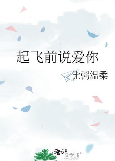 起飞前说爱你讲什么