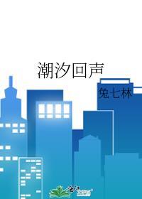 潮汐回声时漾许砚晋江