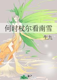 何时仗尔看南雪
