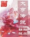 大亨解析