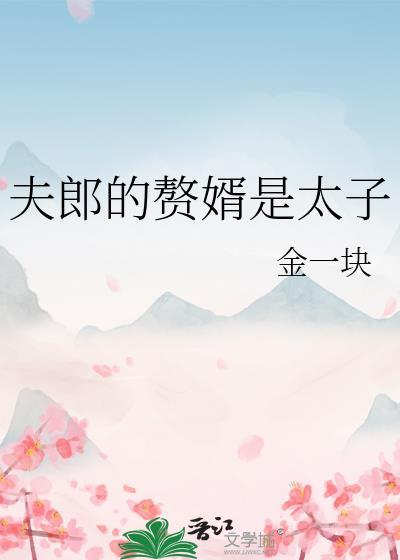 夫郎到底有几个 txt