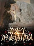 萧先生追妻请排队
